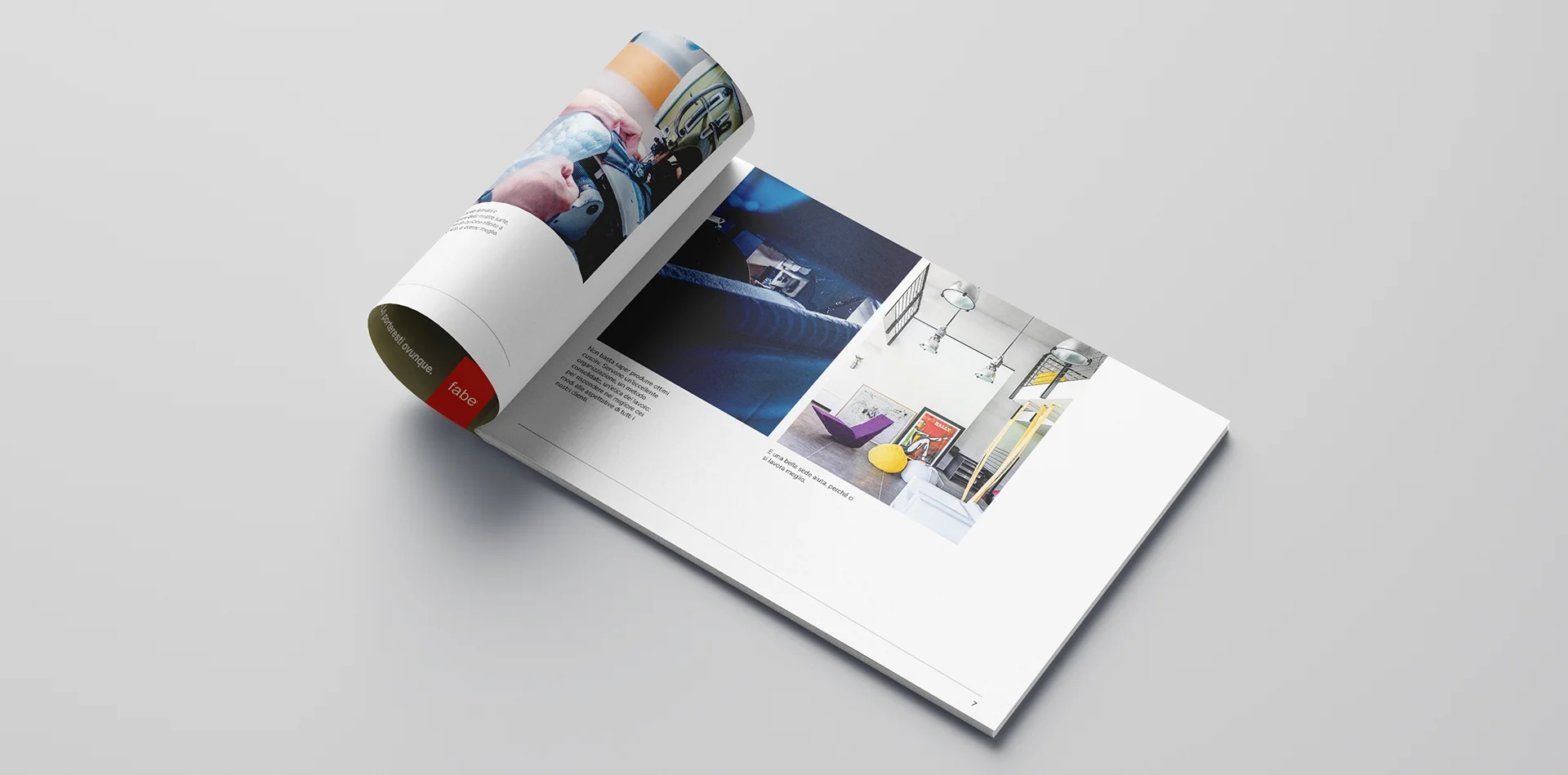 Dexa: realizzazione company profile per Fabe 2