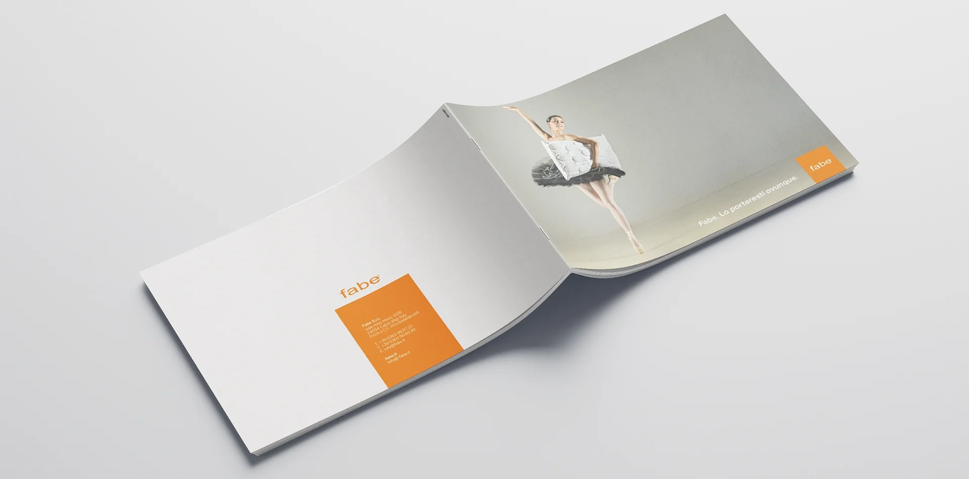 Dexa: realizzazione company profile per Fabe 4