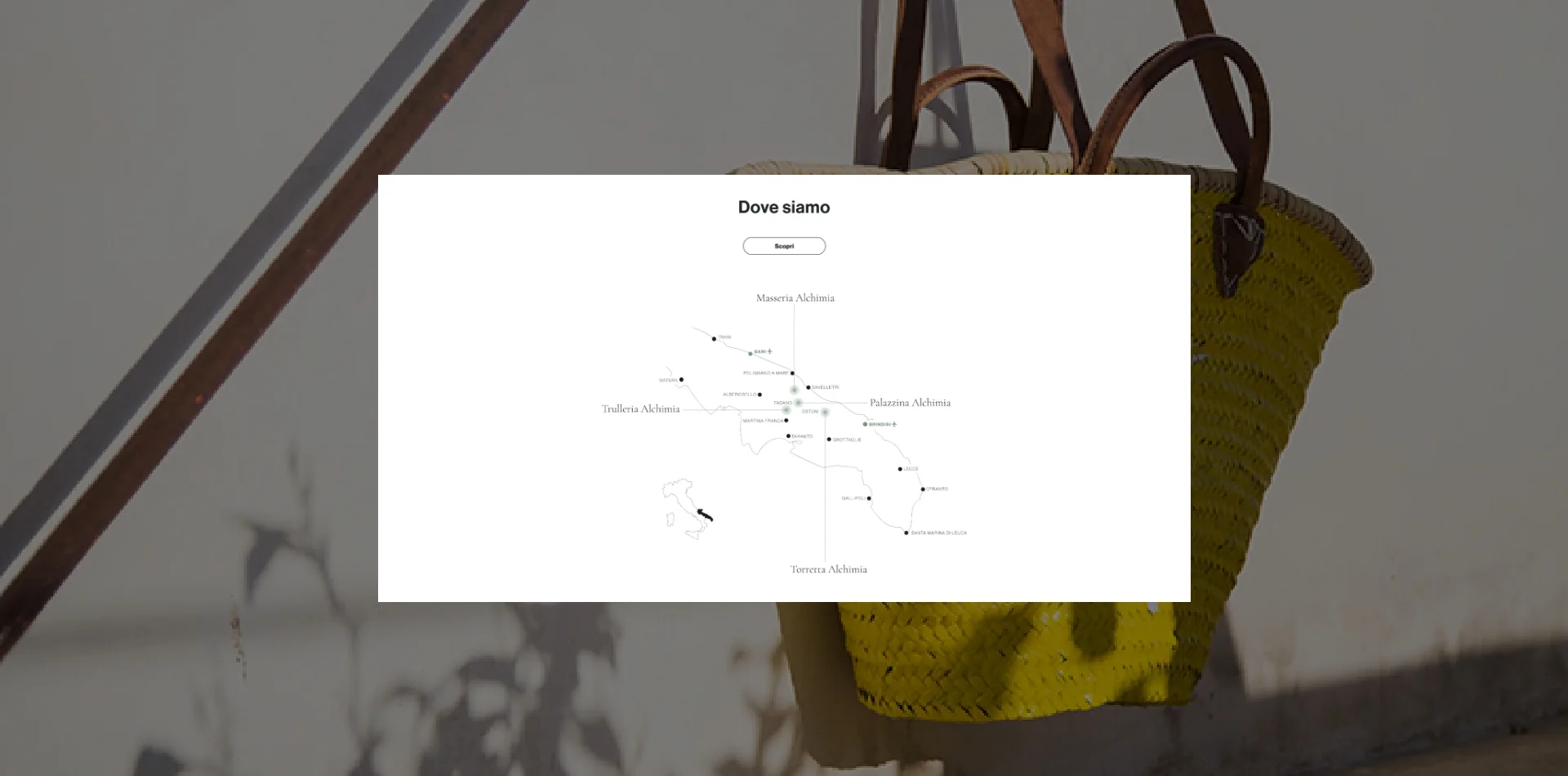 Dexa project mockup 5 realizzazione sito web Alchimia Collection