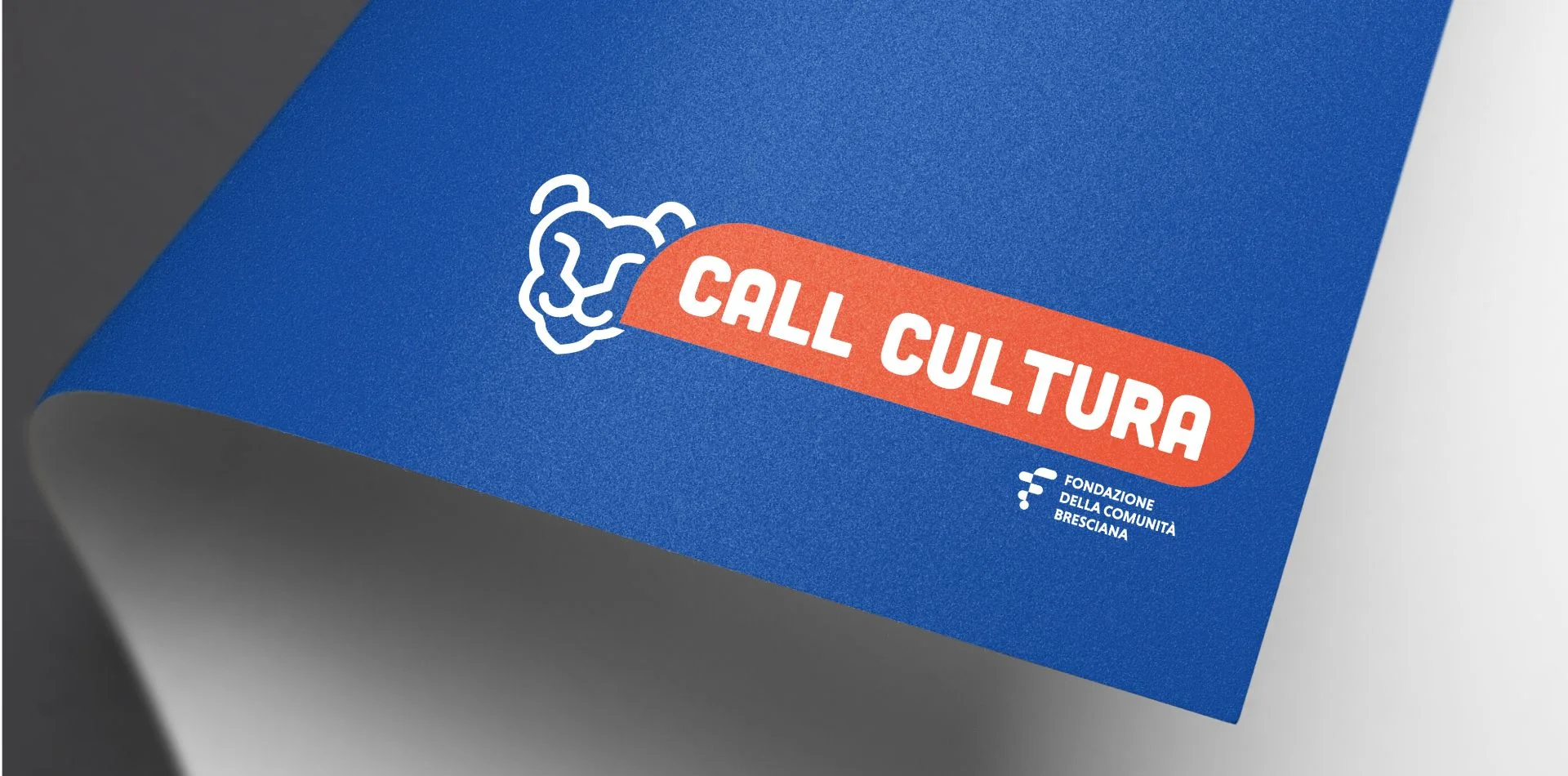 Dexa project: realizzazione brand identity per Comunità Bresciana 4