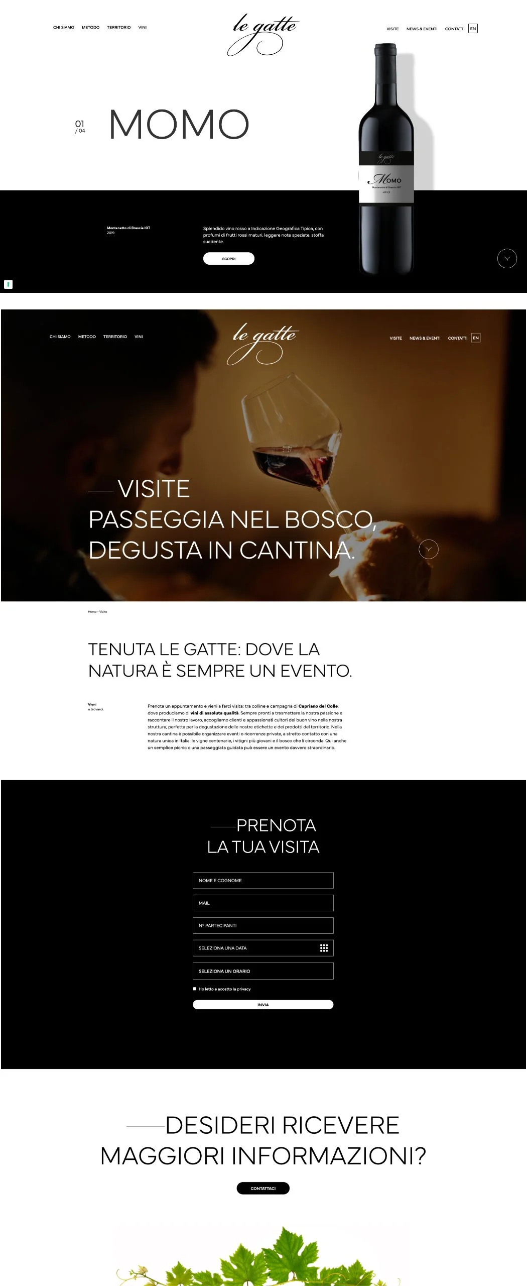 Dexa: realizzazione sito web per Azienda agricola Le Gatte 3