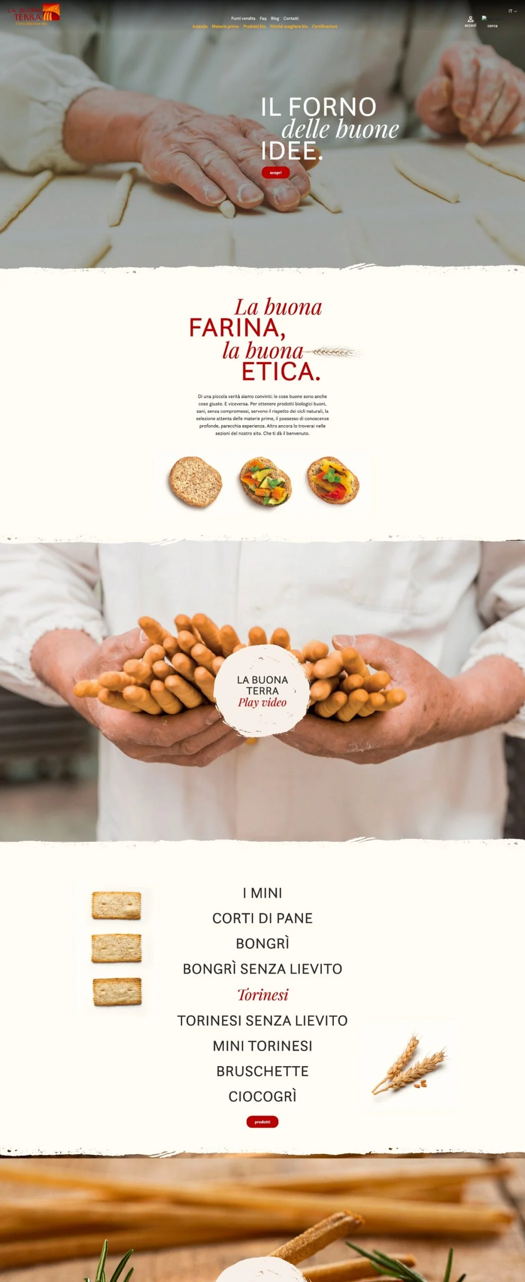 Dexa: mockup realizzazione sito web La Buona Terra