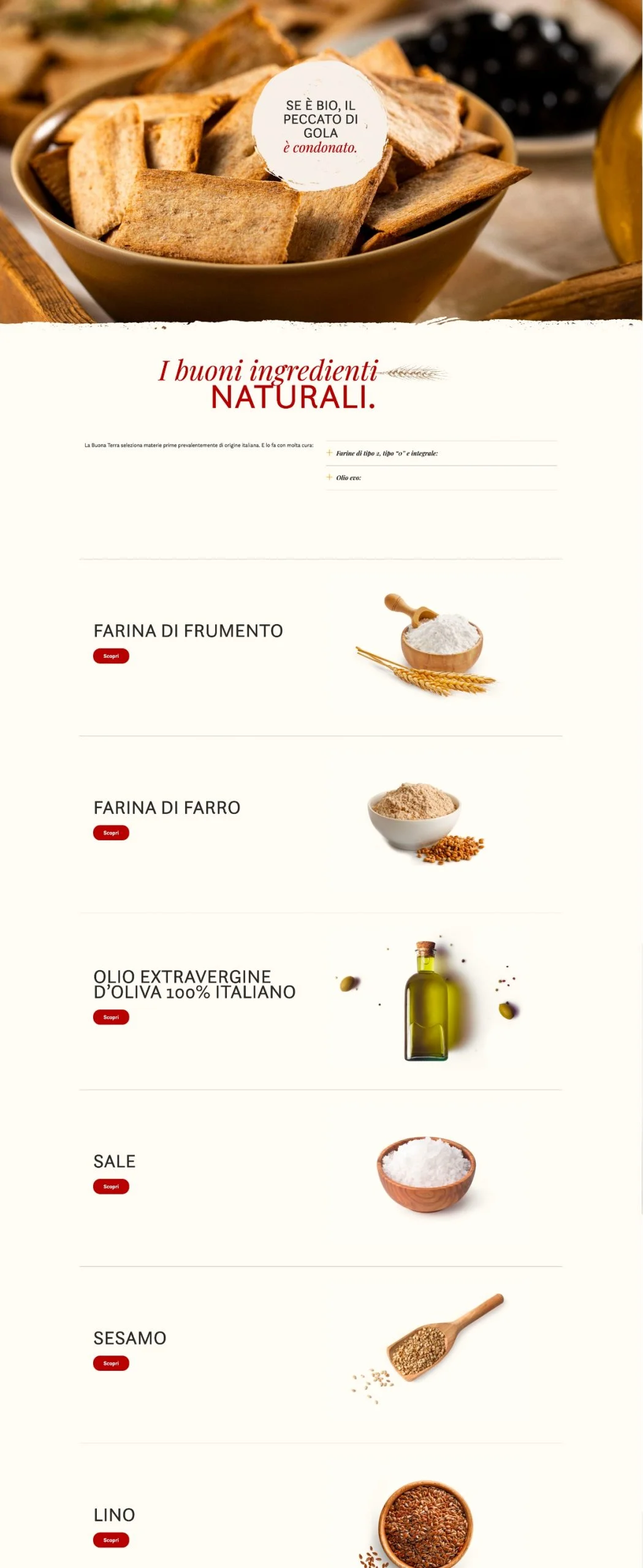 Dexa: mockup 2 realizzazione sito web La Buona Terra