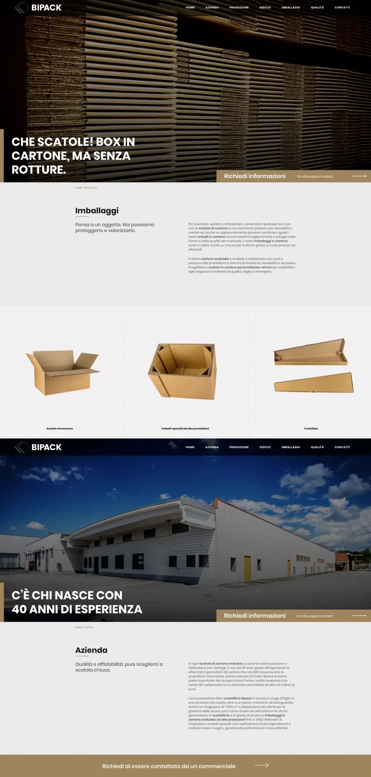 Dexa: mockup 3 realizzazione sito web per Bipack
