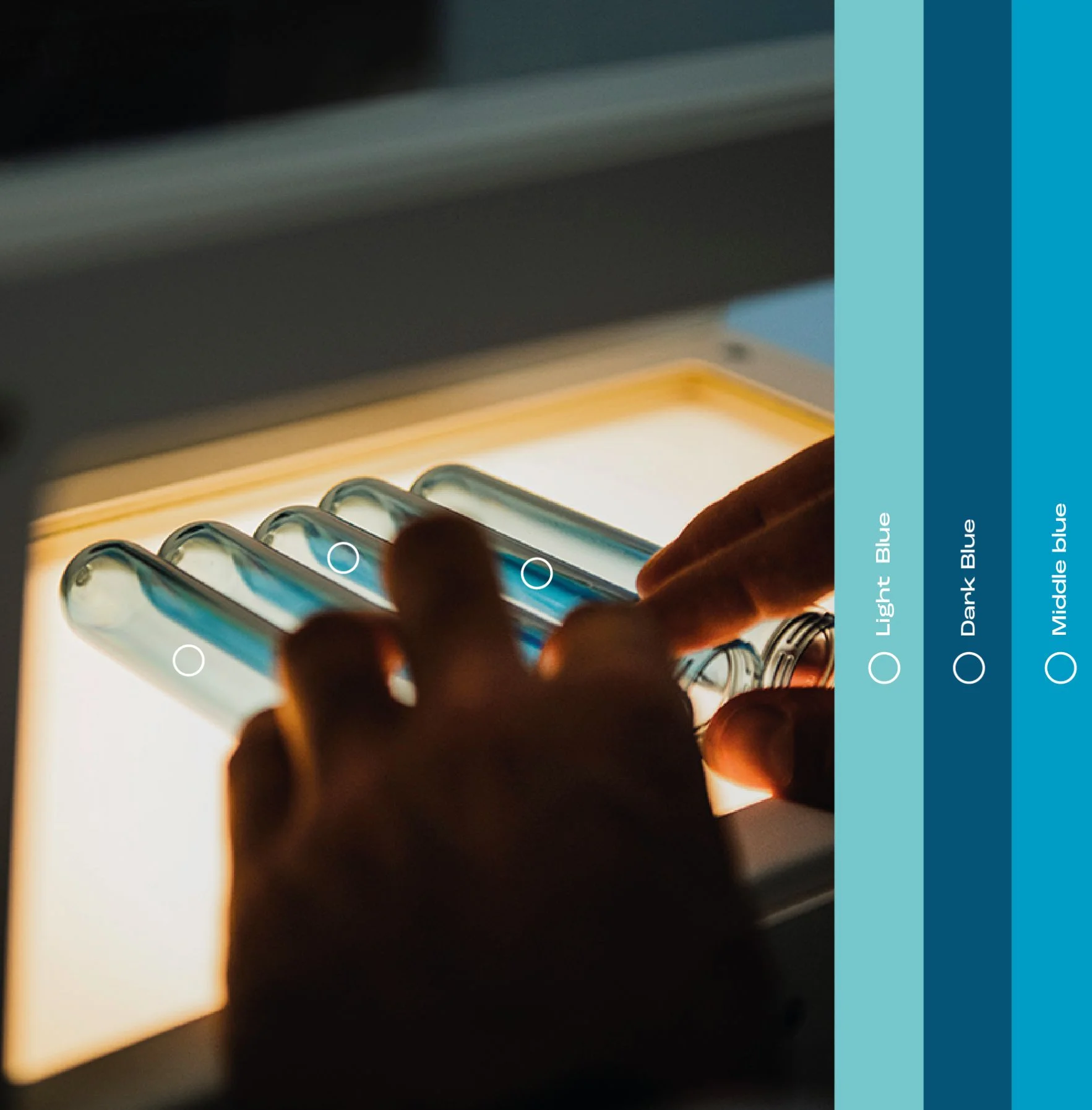 Dexa: Brand identity Nuovaplast