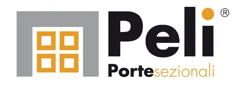 Dexa project realizzazione logo per Peli