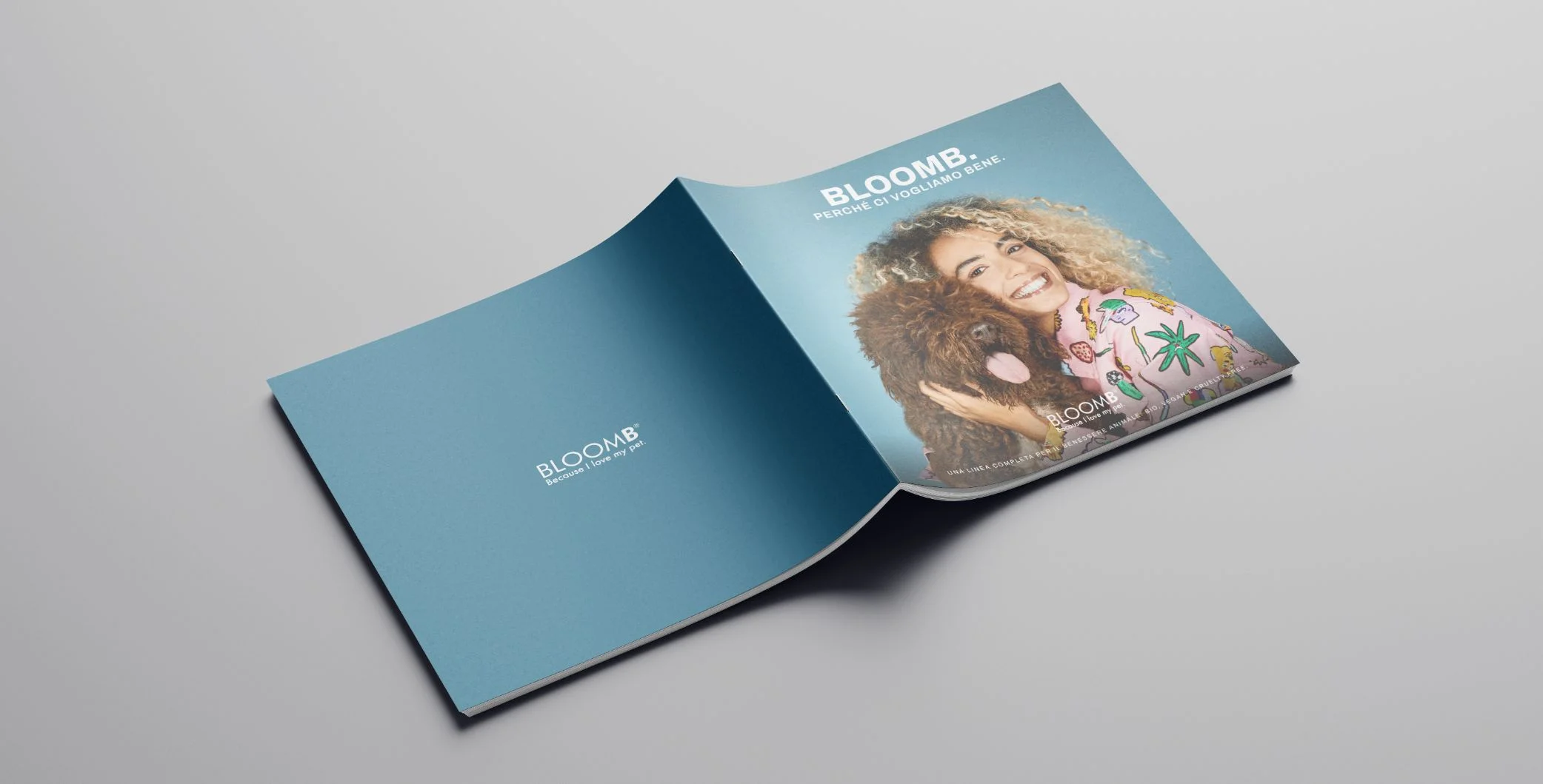 Dexa: brand identity bloomb 3