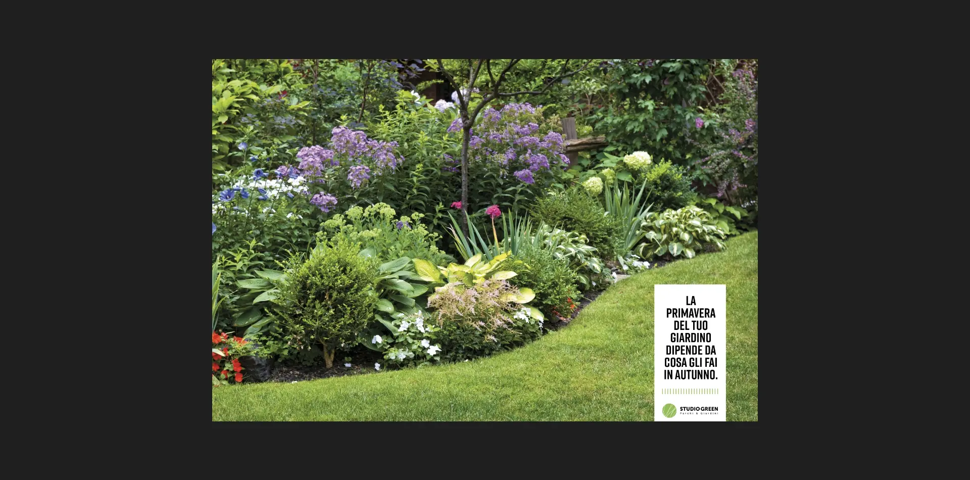 Realizzazione campagna pubblicitaria social cura del giardino in autunno per Studio Green