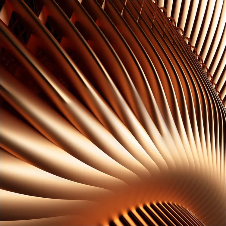 Progetto Casa del bronzo