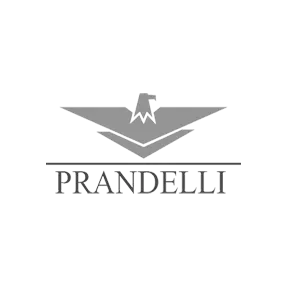 Dexa per Prandelli Spa