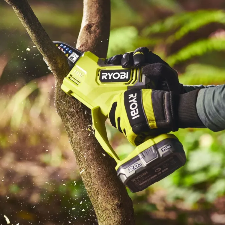 Progetto Ryobi